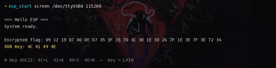 serial terminal showing the encrypted flag and XOR key on boot